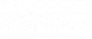 Sven Hendrikx